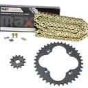 Gold O Ring Chain And Sprocket Kit For Honda TRX300EX TRX300X Sportrax 300