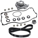 Timing Belt Kit Water Pump For 1997-2001 Honda CRV 2.0L Acura Integra 1.8L